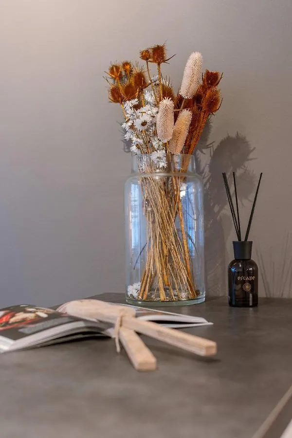 Perfectly Appointed Apartment In The Center Of Ostend Near The Beach Belgium